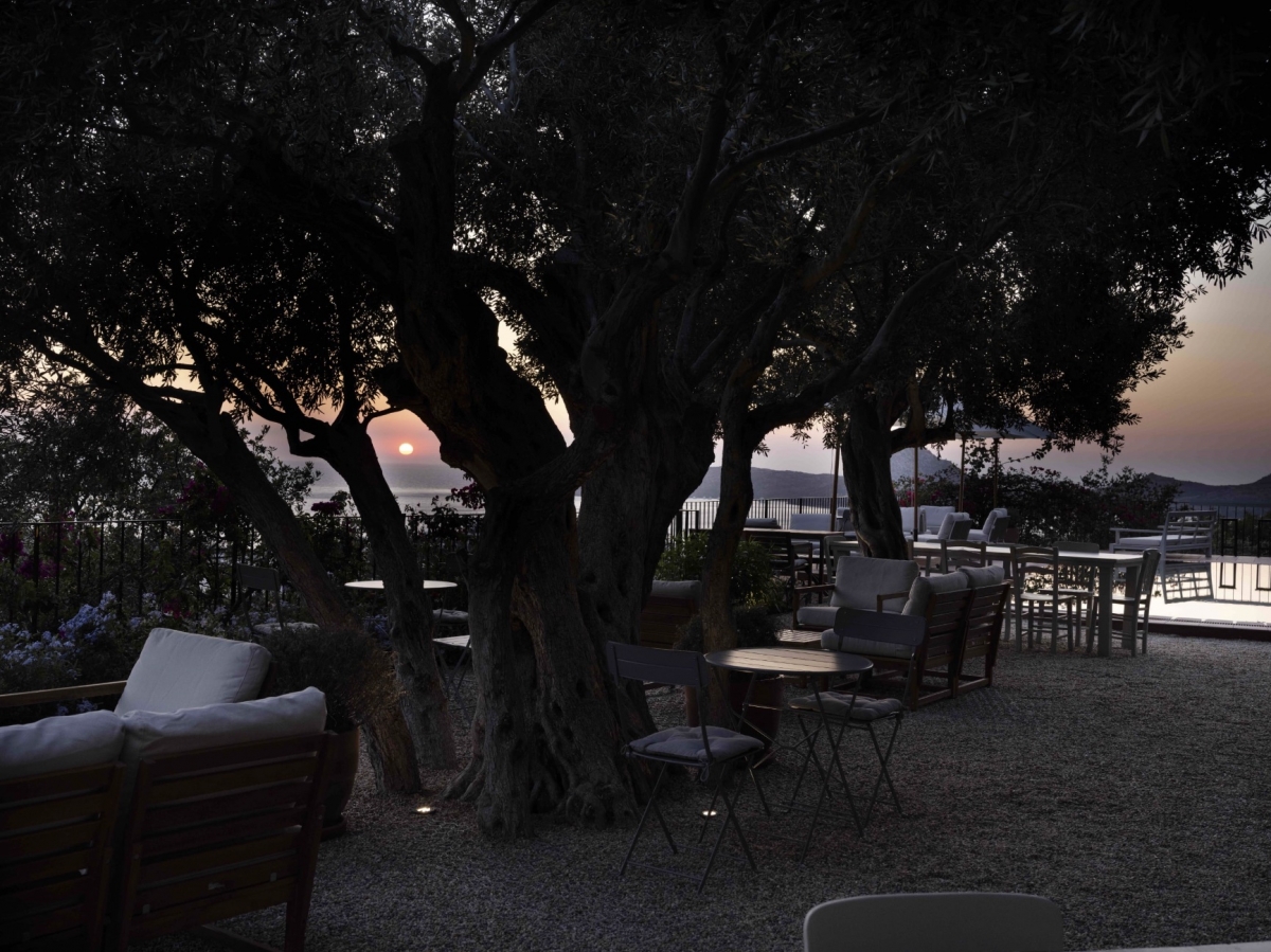 Ping Cornucopia Cornucopia Magazine Ping Pong