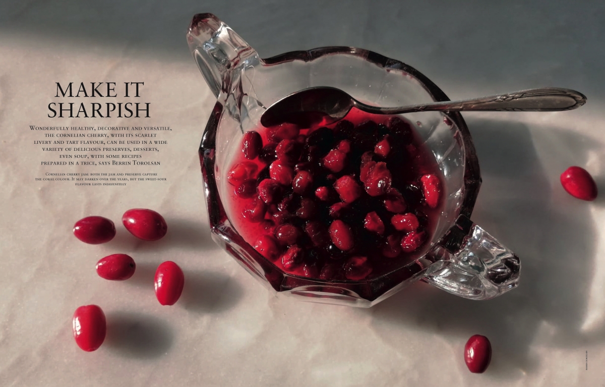 Sharpisha Cornucopia Magazine Make it Sharpish