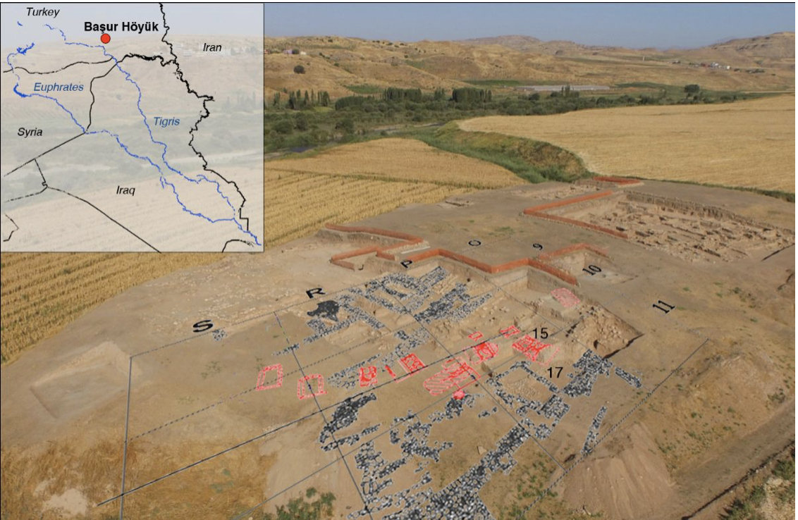 Cornucopia Magazine Bodies, Bronze, and Başur